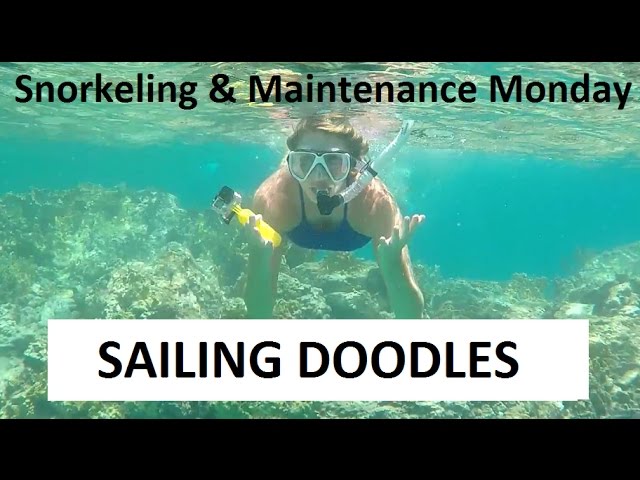 Snorkeling the Indians at BVI & a Shower Pump Problem – Boat Maintenance Monday