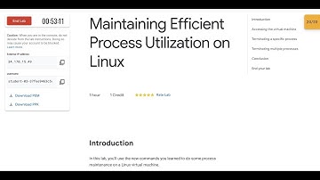 google it support: module 5 Maintain Efficient Process Utilization on Linux