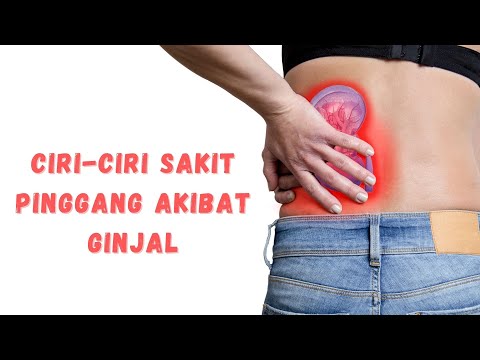 Video: SIAPA BERKATA Dari seterusnya pinggang maut ini?