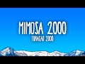 Furac&atilde;o 2000 - Mimosa 2000