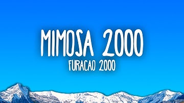 Furacão 2000 - Mimosa 2000