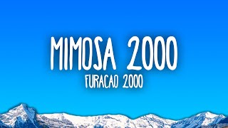 Furacão 2000 - Mimosa 2000
