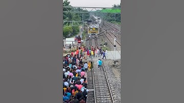 Emu Entering Railgate #shorts