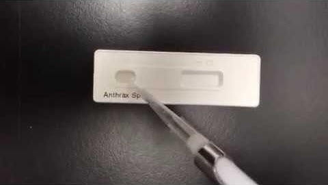 Bio defense testing for Anthrax