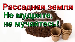видео: КАК ВЫБРАТЬ НАДЕЖНЫЙ ГРУНТ ДЛЯ РАССАДЫ картинка: КАК ВЫБРАТЬ НАДЕЖНЫЙ ГРУНТ ДЛЯ РАССАДЫ