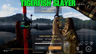 New PR - Tigerfish Slayer - One Day Uni Rotation - Congo River - Fishing Planet screenshot 5