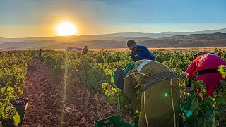 DEIR EL AHMAR Village: Generous People, Warm Welcoming, Delicious Food and the Lady of Bechwet