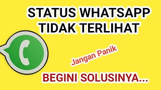 Penyebab Status WhatsApp Tidak Muncul Di Orang Lain