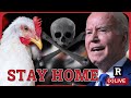 Alert bird flu lockdowns coming who bird flu fearmongering begins before election  redacted