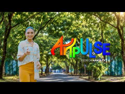 කලාවට පුළුවන් මිනිස්සුන්ව වෙනස් කරන්න! | ArtPulse 🎨 | Soon on Ahasa TV..