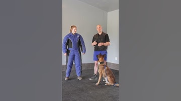 This suit is for dynamic work. Not daily training.