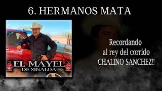 Hermanos Mata - El Mayel de Sinaloa 2023 (en vivo)