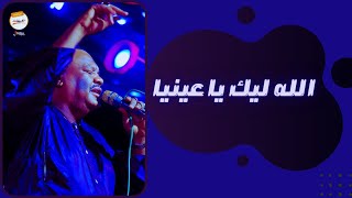 يوسف البربري - الله ليك يا عينيا - أغاني سودانية 2022