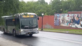 PART Pottstown: 2019 Gillig BRT 54 on the Yellow line on Beech Street (READ DESC)
