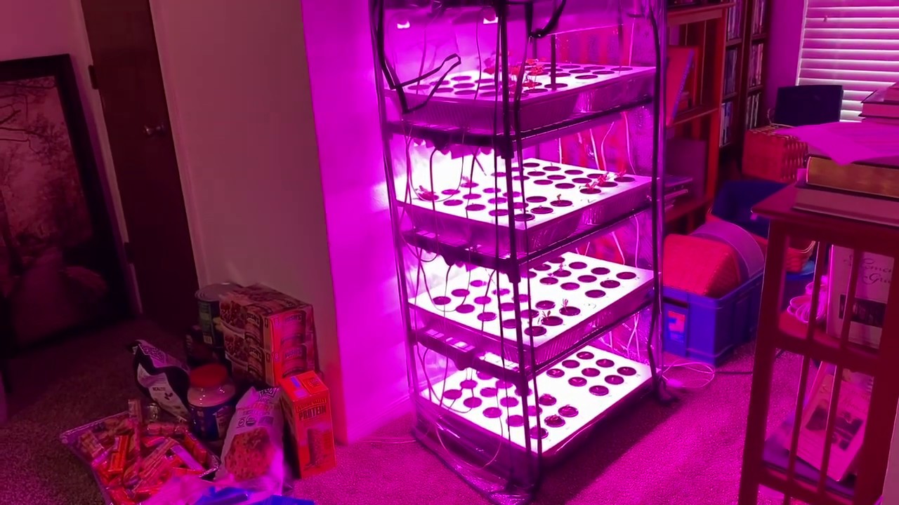 Kratky Hydroponics Seed Starting System Part Three Youtube