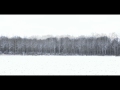 photos et musique "loup", paysages épurés, neige