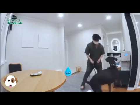 Bam and kookiee....🐶🏃🏻‍♂️💜