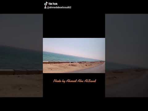 حالات واتس أحمد عامر سيبهم ياقلبي تيك توك