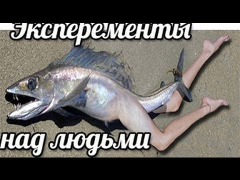 рыбы люди фото онлайн рыбы люди фото