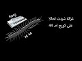  3 غزالة شردت لحالا