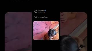 Tatlı Ve Masum Kız Şfet Izçocuğu