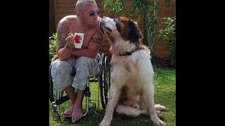 Saddest video ever!           Dave is gone 😞 devastated. He had bone cancer. Run free my best friend