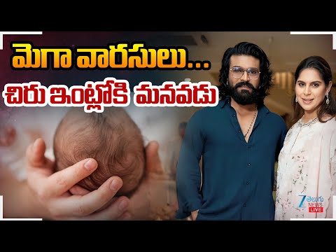 LIVE: Chiranjeevi and Ram Charan Happiest Moments | Ram Charan Upasana's Twins | Mega Varasulu | ZEE - ZEE24TELUGUNEWS