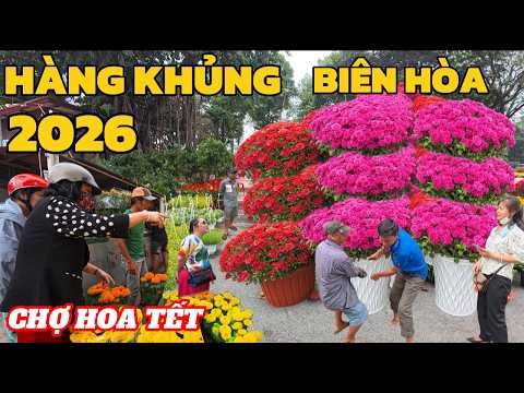 Sửng sốt Trước Cảnh Tượng những gốc Hoa Tết Siêu Khủng Và Đẹp Tại Chợ Hoa Tết Biên Hòa 2026