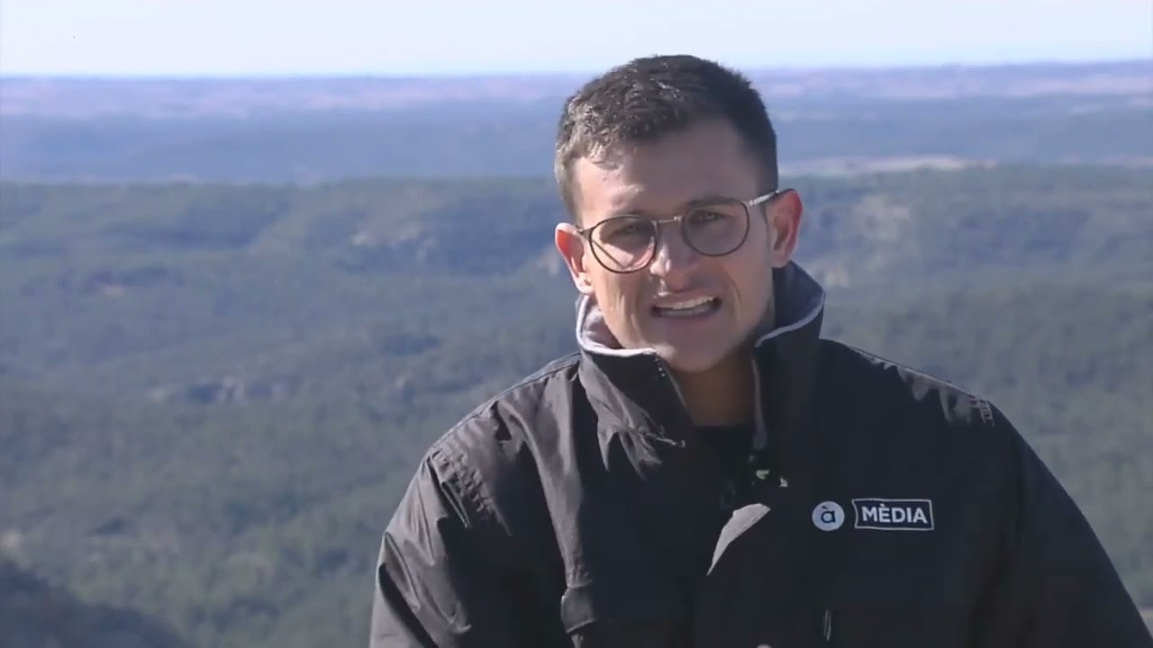🌳 Tierra Bobal - La Plana de Utiel-Requena 📺 en La Via Verda de À Punt Mèdia