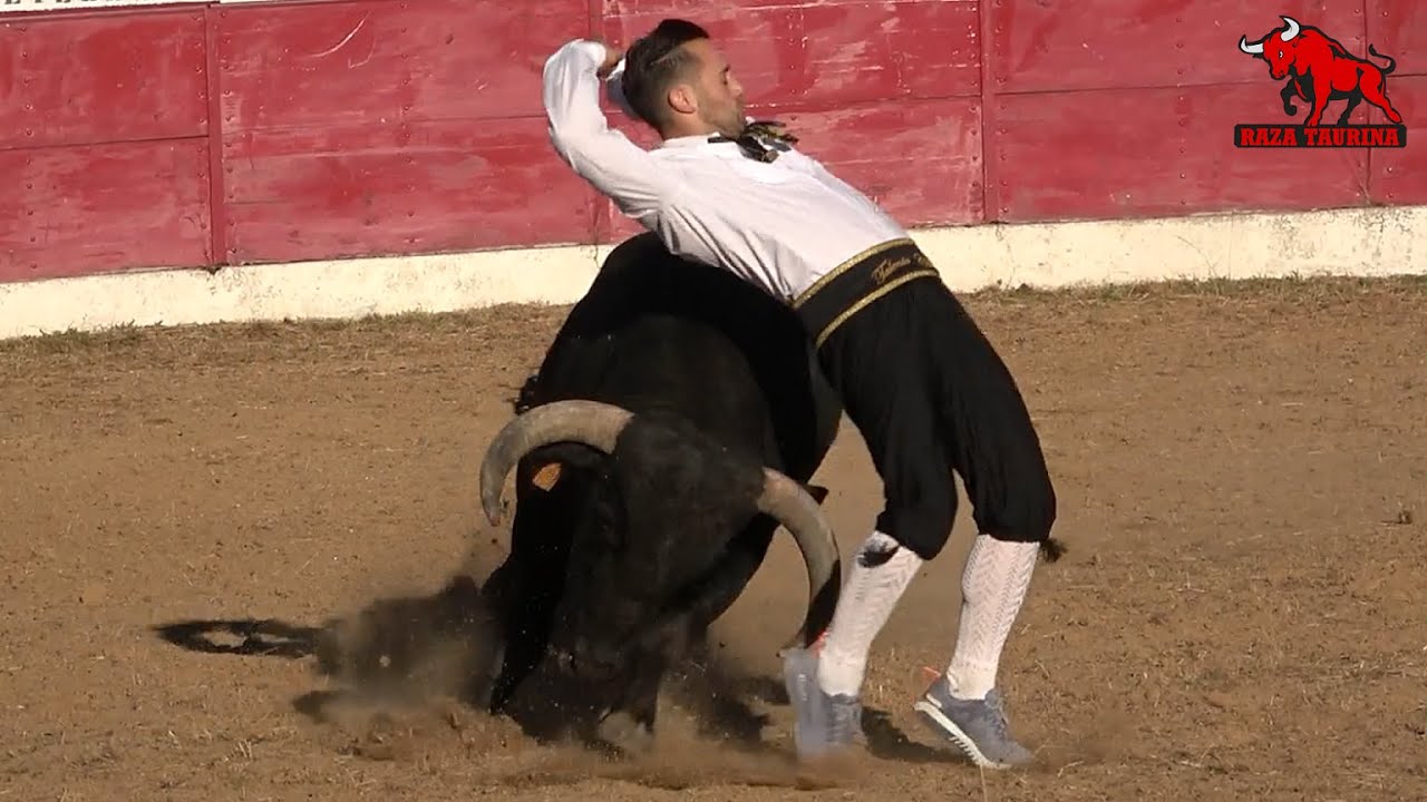 Concurso goyesco de cortes, quiebros y saltos. Vitigudino. 5 Junio 2021