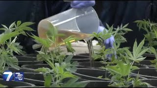 Proposed rules making advertising adult-use marijuana tricky for Ohio dispensaries | WHIO-TV