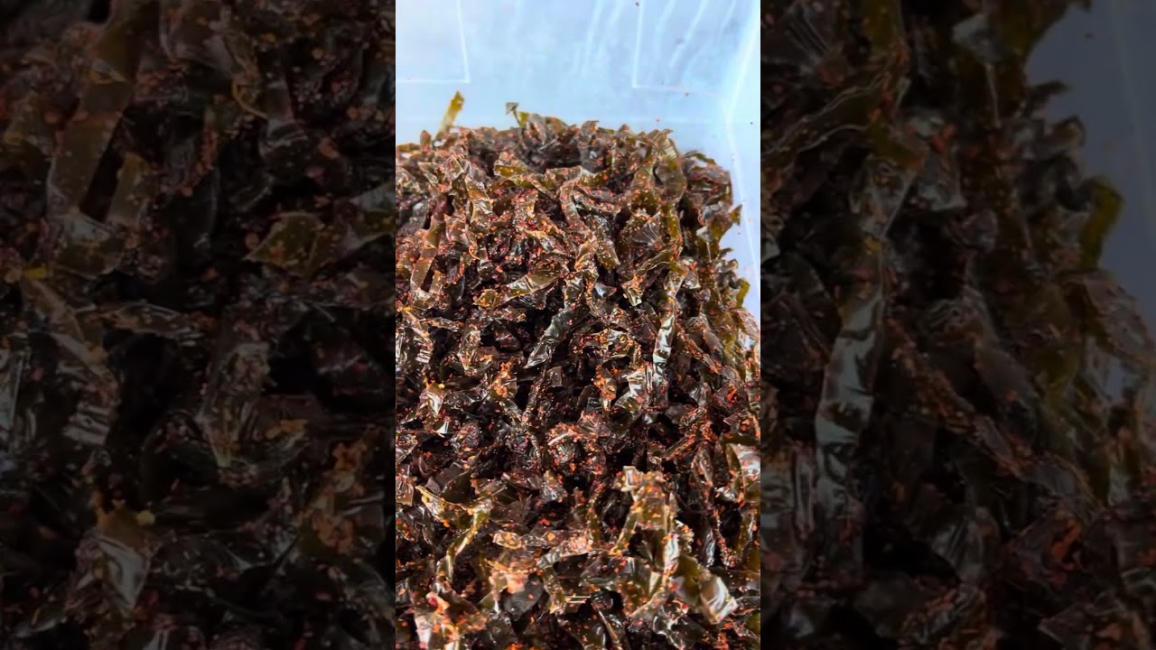 Nopal deshidratado enchilado. Nopalchill