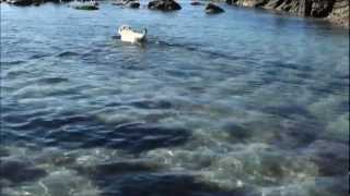 Cuatro días por la Costa de Galicia (día 3)