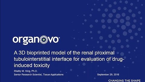 Webinar: 3D Bioprinted Kidney Tissue for Evaluation of Drug-Induced Toxicity