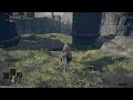 Требуются ягодицы в Elden ring