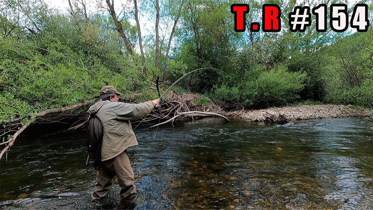 👉PESCANDO EN UN RIO DE ALTA MONTAÑA A MOSCA SECA🎣