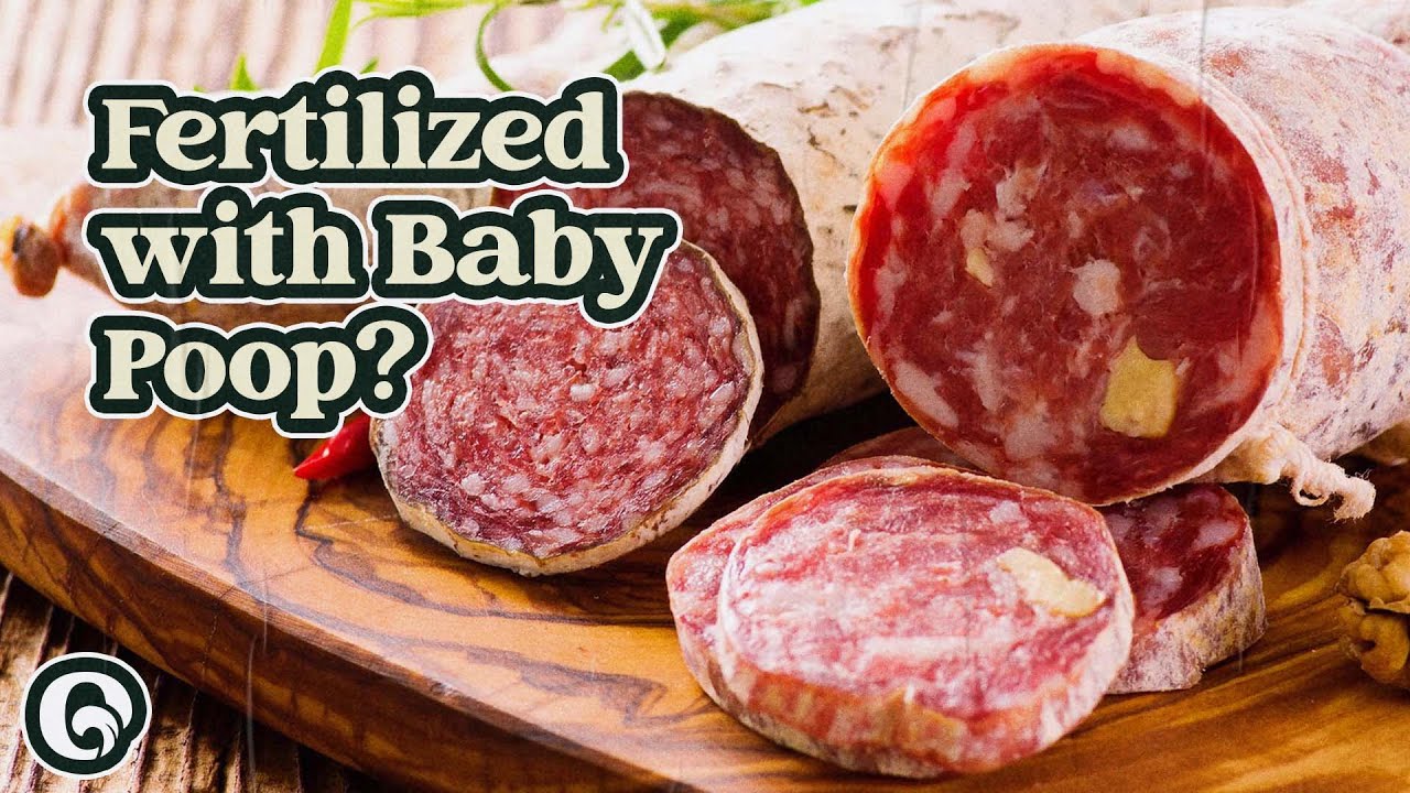 How Baby Poop Can Make Sausages Healthier YouTube