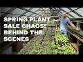 Inside My Spring Seedling Operation Thousands Of Plants Inside My Spring Seedling Operation Thousands Of Plants