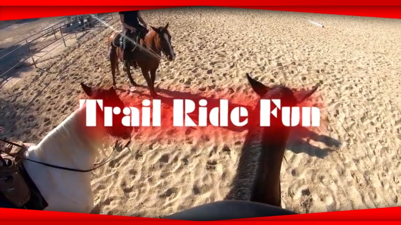 Western Pleasure Trail Ride (Horse Riding Vlog) *Horses in the Hills ...