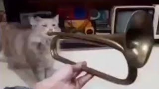 Roddy Ricch cat on trumpet full! Goes hard (EARRAPE)