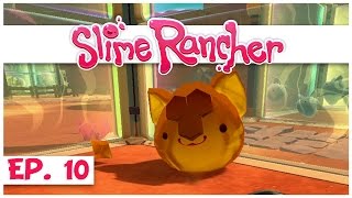 Welcome to slime rancher! in part 10 of our rancher series, we play
around with creating hybrids and different honey largo! ► watch the
entire ra...