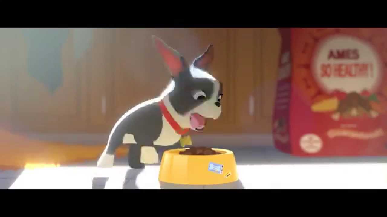 愛犬とごちそう Hd 映画特別映像 Youtube