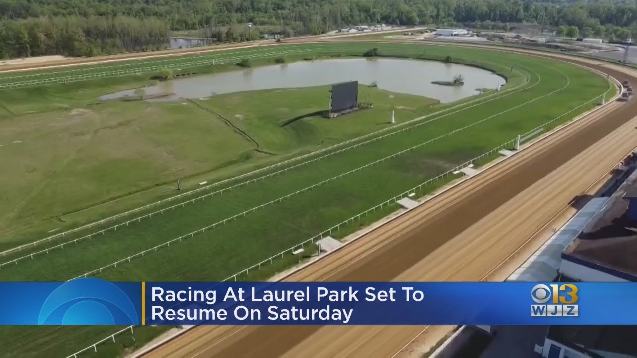 Horse racing to resume at Laurel Park on Saturday YouTube
