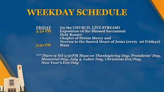 Fr. Parker Sandoval: The Trinity - God's Love Before Creation