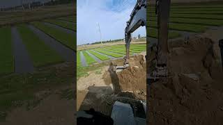 Real Work Test: Doosan 60 Wheel Excavator, Reliable and Ready to Work.