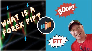 What Is A Pip In Forex Trading? What Is A Pip In Forex Trading?