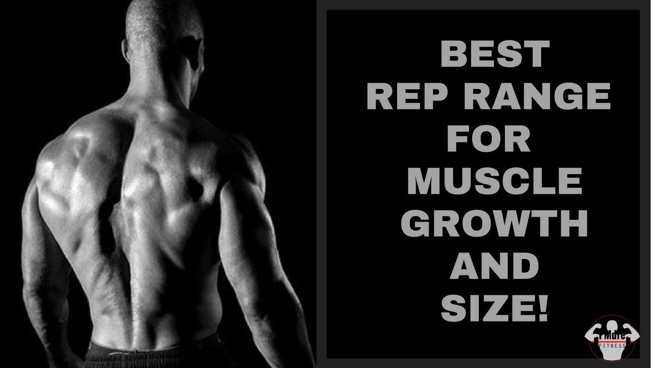 how to build muscle fast routine l best rep range for growth and best rep range for size