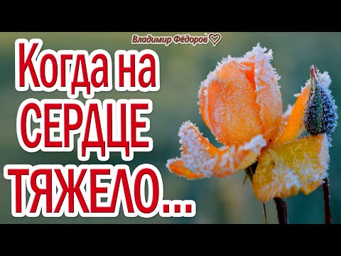 "Когда На Сердце Тяжело..." – Слушай эти Замечательные Стихи для Души!