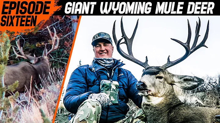 GIANT WYOMING MULE DEER - ICON TOUR "OPEN SEASON" - EP. 16
