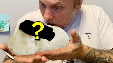 WE HIT ALL 4 GENES! CUTTING AN INSANE CLUTCH OF SNAKE EGGS! | BRIAN BARCZYK